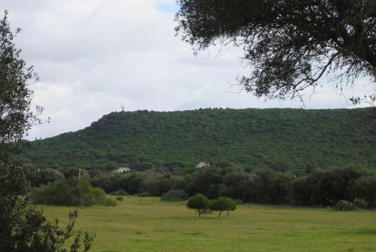 Hostal El Capi Zahora Dış mekan fotoğraf